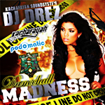Dj Drez “Dancehall Madness vol. 5”