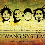 Twang System 
