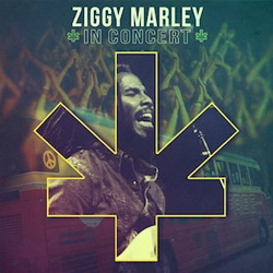 Ziggy Marley se lleva su sexto Grammy. Mejor álbum reggae 2013