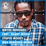 Max RubaDub presenta el remix de «Stupid Money» de Wayne Marshall y Agent Sasco en descarga gratuita