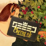 «Cherry Oh» es el nuevo clip animado de Seeed