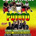 Gira de dos de las bandas más emblemáticas del reggae y el ska: Gondwana y Potato.