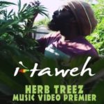 I-Taweh defiende la planta en «Herb Treez»